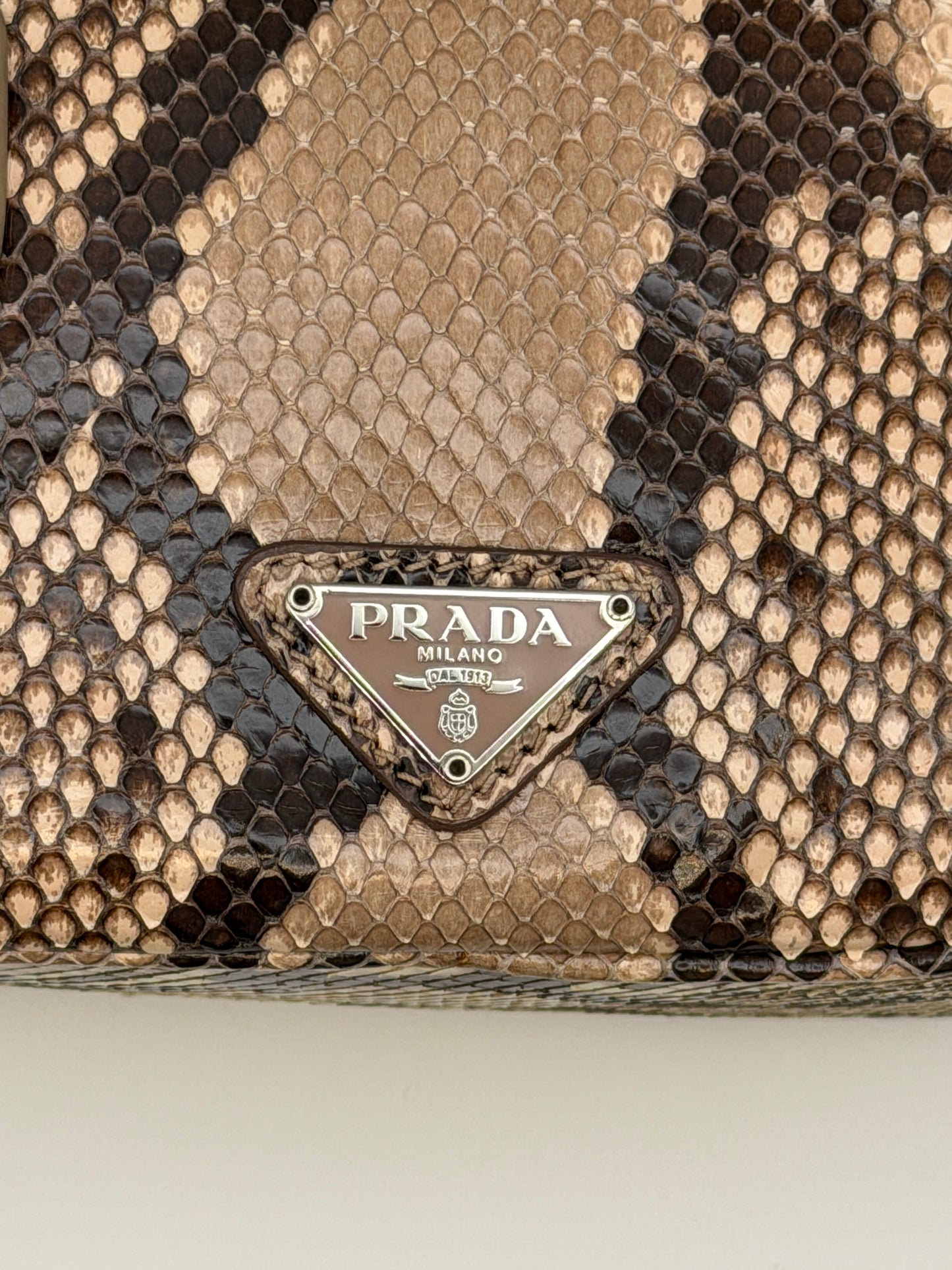 Prada Python Camera Bag in pelle di pitone naturale