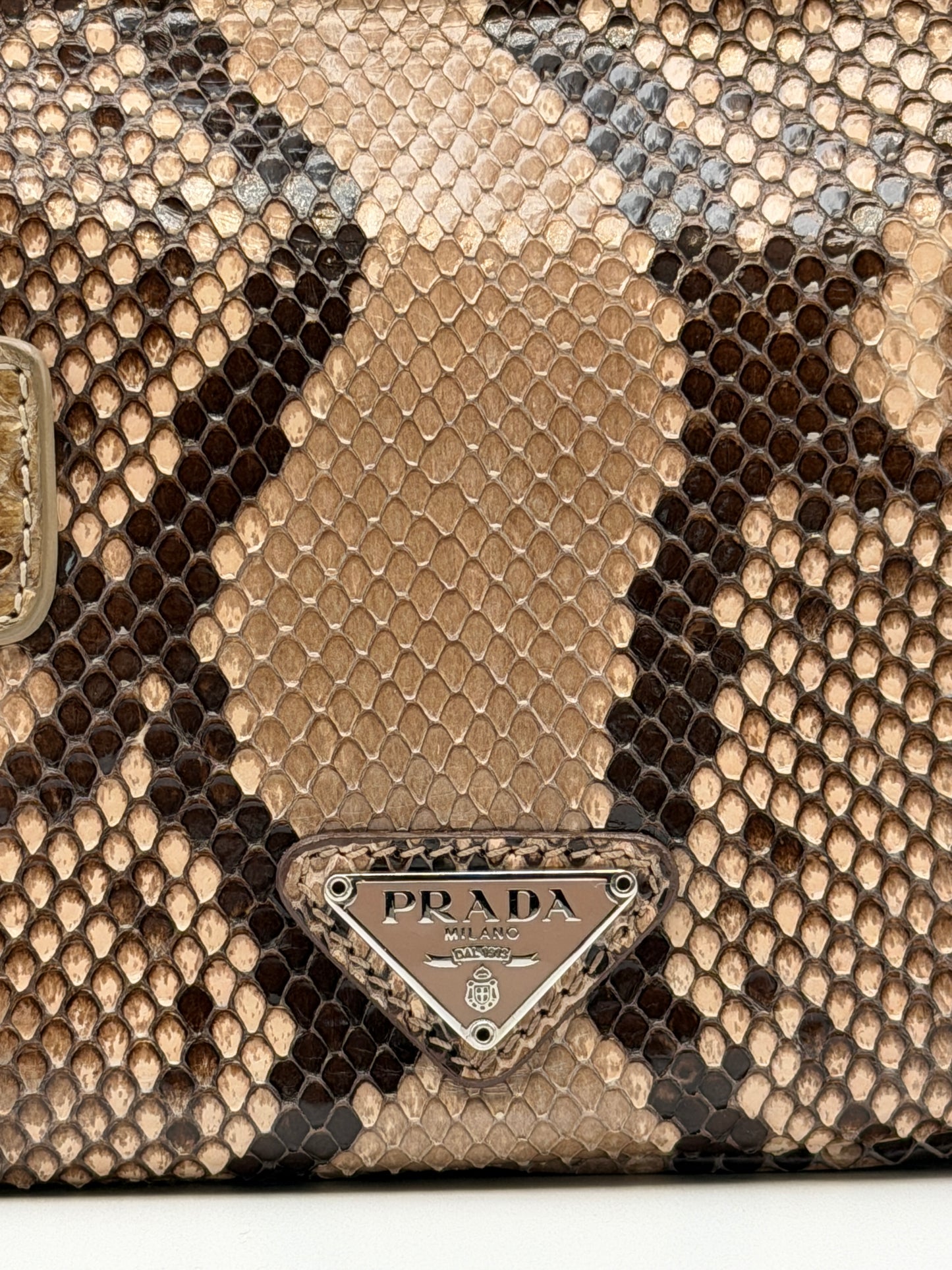 Prada Python Camera Bag in pelle di pitone naturale